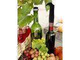 Wine Bottle Vacuum Pump with 2 Stoppers - Good Wine Coolers