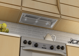 ZLINE 28" Ducted Wall Mount Range Hood Insert in Outdoor Approved Stainless Steel (695-304-28)