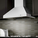 ZLINE 48" Ducted Wall Mount Range Hood in Outdoor Approved Stainless Steel (697-304-48)