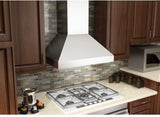 ZLINE Professional Convertible Vent Wall Mount Range Hood in Stainless Steel (597-54)